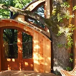 Perchée Les De Fallot - Sauna Bain-froid Piscine Naturelle Chalet