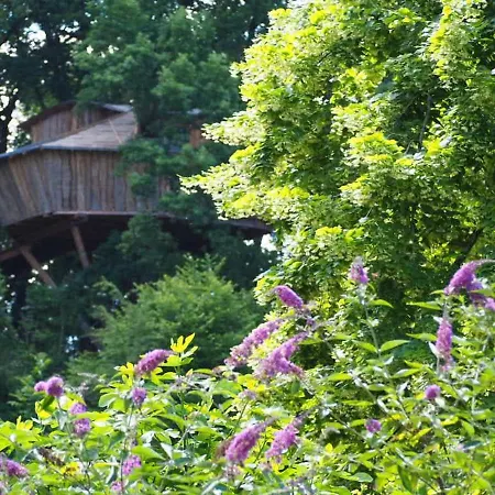 Perchee Les De Fallot - Sauna Bain-froid Piscine Naturelle * L'isle-Bouzon