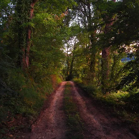 Perchee Les De Fallot - Sauna Bain-froid Piscine Naturelle 木屋