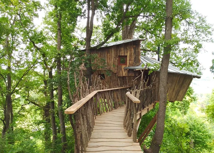 Perchée Les De Fallot - Sauna Bain-froid Piscine Naturelle