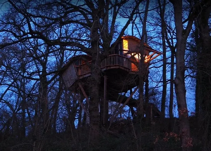 Perchée Les De Fallot - Sauna Bain-froid Piscine Naturelle Chalet *