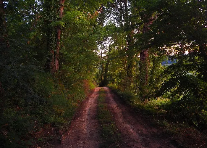 Perchee Les De Fallot - Sauna Bain-froid Piscine Naturelle 木屋