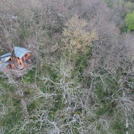 Perchee Les De Fallot - Sauna Bain-froid Piscine Naturelle Σαλέ *