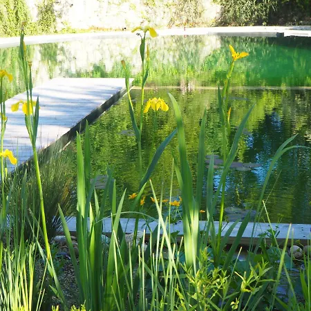 Chalet Perchee Les De Fallot - Sauna Bain-froid Piscine Naturelle *