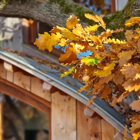 Perchee Les De Fallot - Sauna Bain-froid Piscine Naturelle Dağ evi