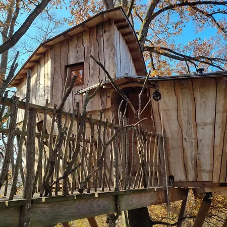 Perchee Les De Fallot - Sauna Bain-froid Piscine Naturelle 木屋 *