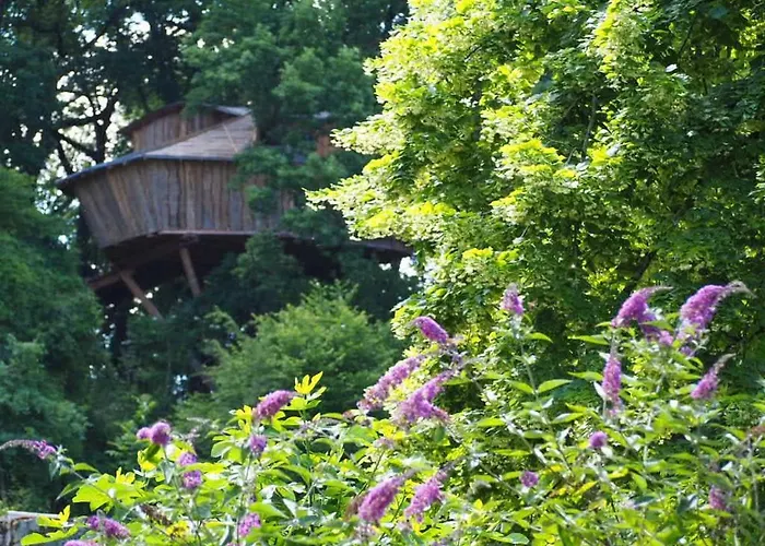 Perchee Les De Fallot - Sauna Bain-froid Piscine Naturelle * L'isle-Bouzon