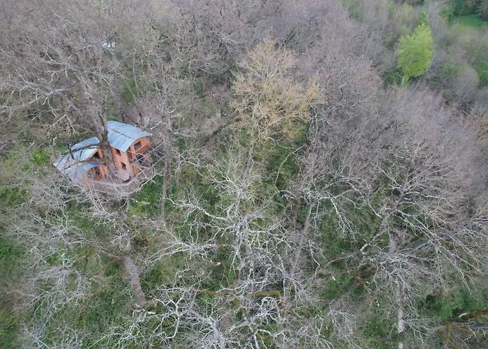 Perchee Les De Fallot - Sauna Bain-froid Piscine Naturelle Dağ evi *