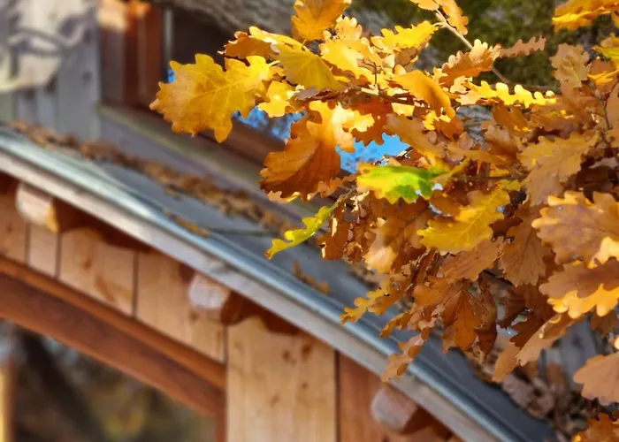 Perchee Les De Fallot - Sauna Bain-froid Piscine Naturelle 샬레