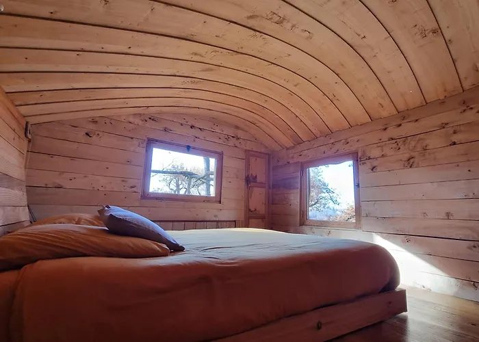 Perchée Les De Fallot - Sauna Bain-froid Piscine Naturelle