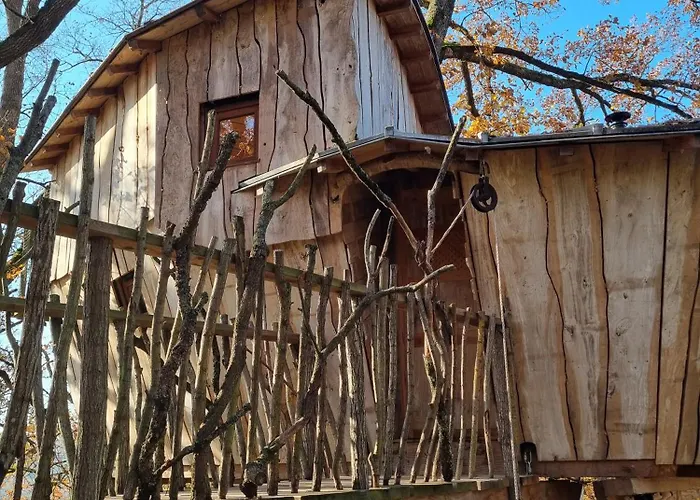 Perchee Les De Fallot - Sauna Bain-froid Piscine Naturelle 샬레 *